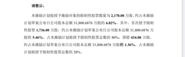 连亏之下，小崧股份五折股权激励藏“猫腻”，上演“消失”的临时议案