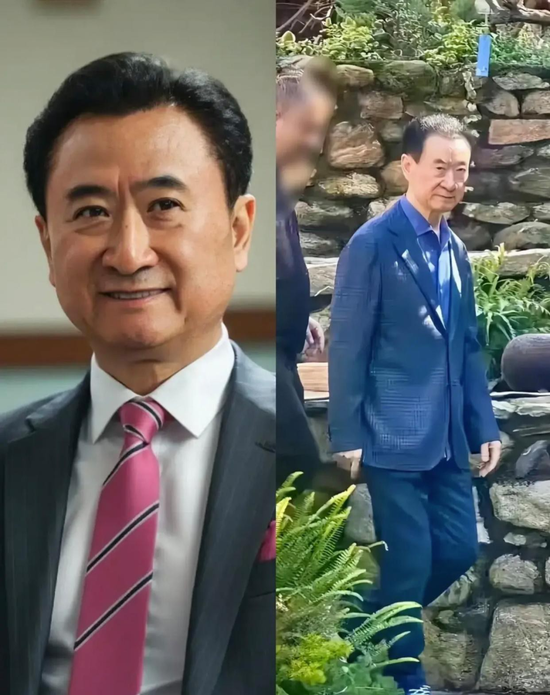 王健林被 “限高”，万达挣扎几年仍未走出债务泥潭