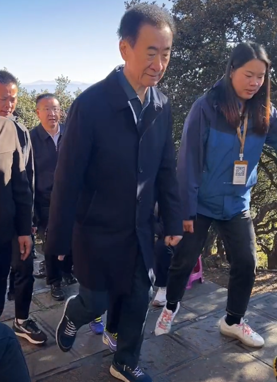 王健林被 “限高”，万达挣扎几年仍未走出债务泥潭