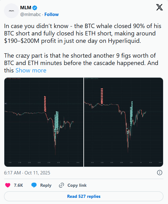 币圈“血流成河”前夕,神秘“巨鲸”精准做空,30分钟狂赚2亿美元!